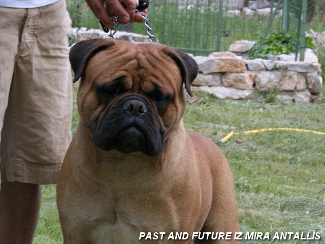 PAST AND FUTUR IZ MIRA ANTALLIS (Sans Affixe)