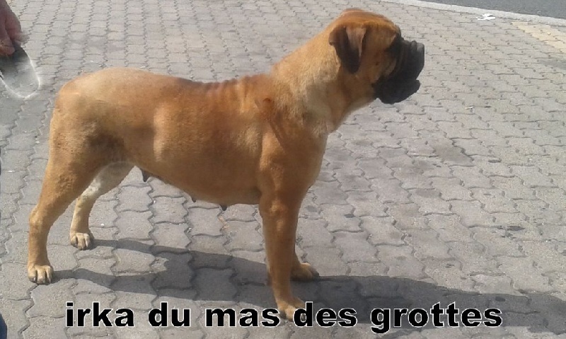 Irka Du mas des grottes