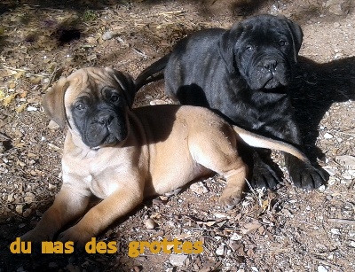 Du mas des grottes